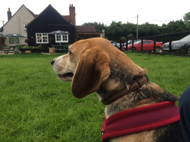 Photo 19-06-2016, 17 35 33