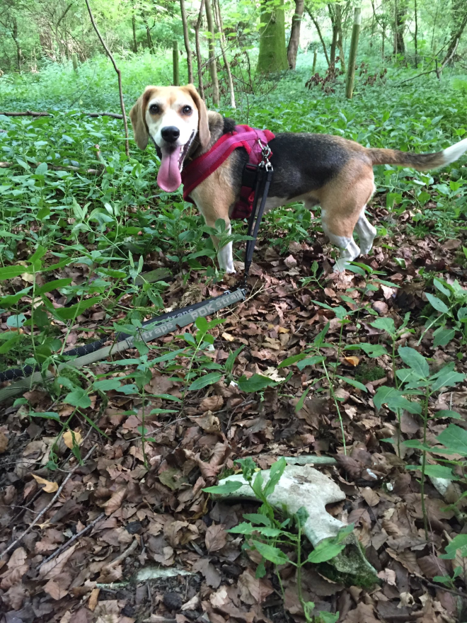 File 21-07-2016, 21 13 11