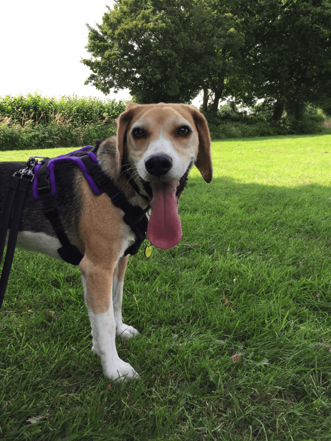 File 25-07-2016, 21 14 49