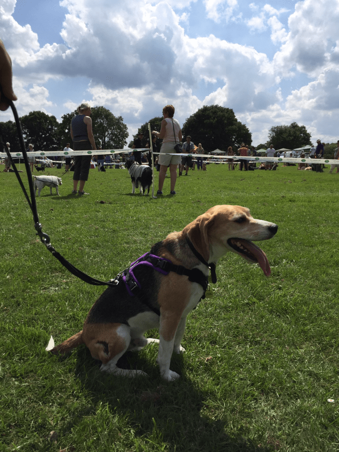 File 25-07-2016, 21 18 05