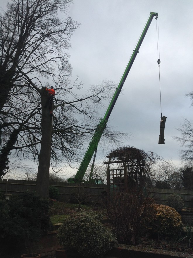 File 06-08-2016, 21 45 42