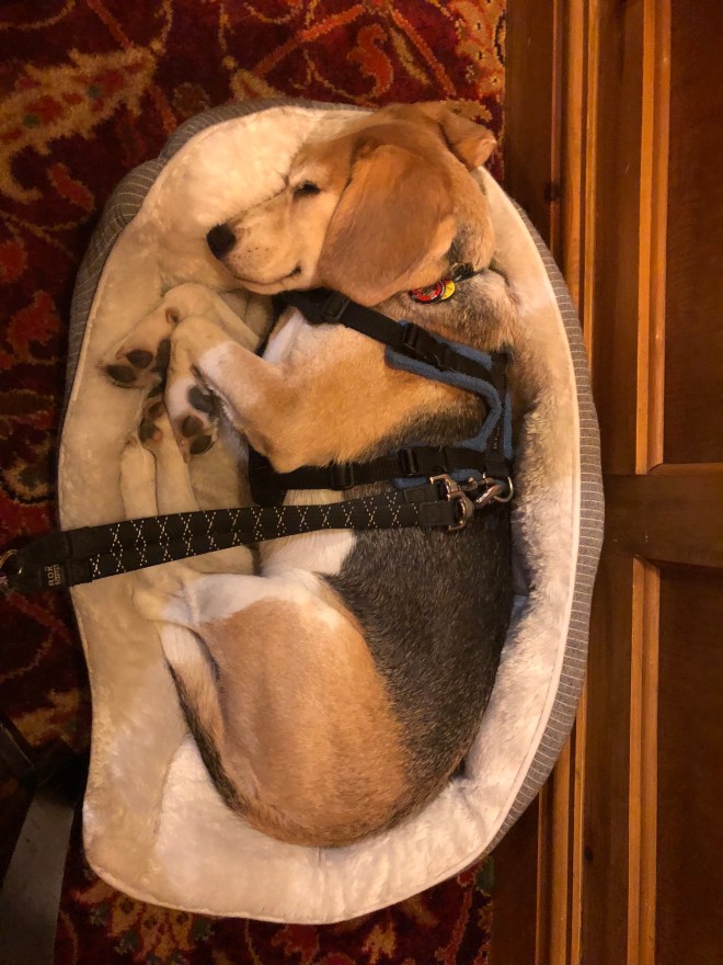 GYidUOxoQuiiiyPEUPu36A