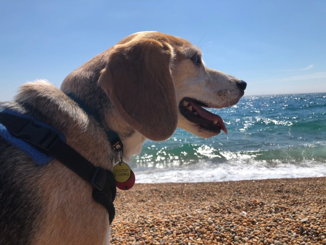 YRRGry4UQZ2TSSdz9cN4Rw