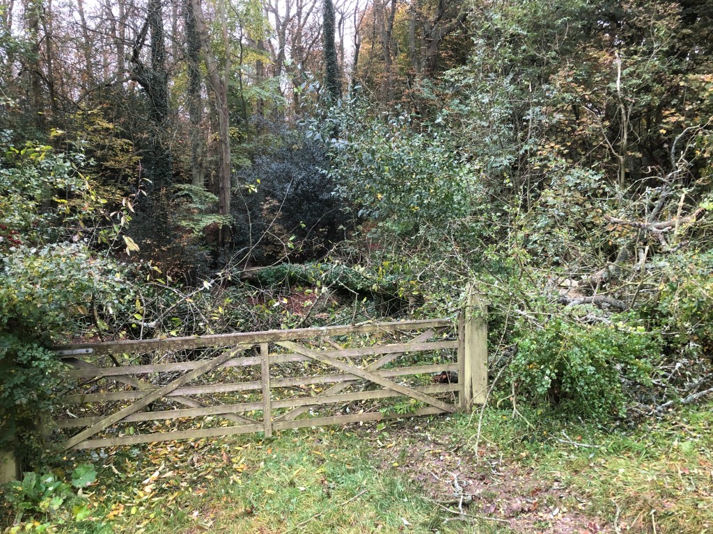 Phew, that was close